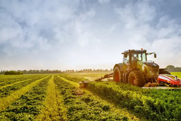 Agriculture Agriculture